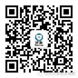 世界杯竞猜网站
